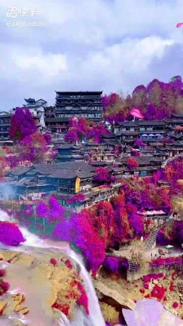 精准答疑平台-现在的大学生都是为了什么而读书?,为您解疑答惑
