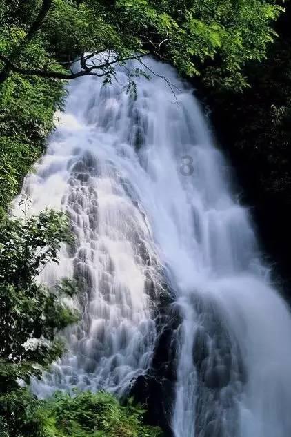 虫虫助手下载